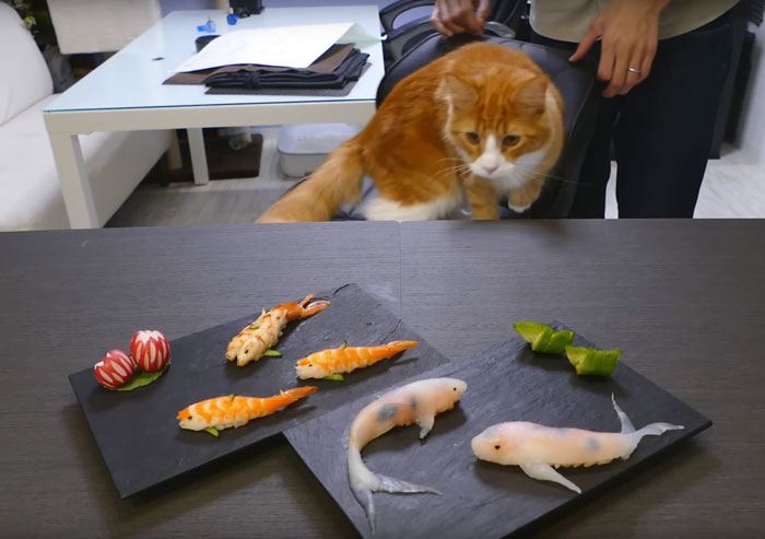 real-life-swimming-koi-sushi-4