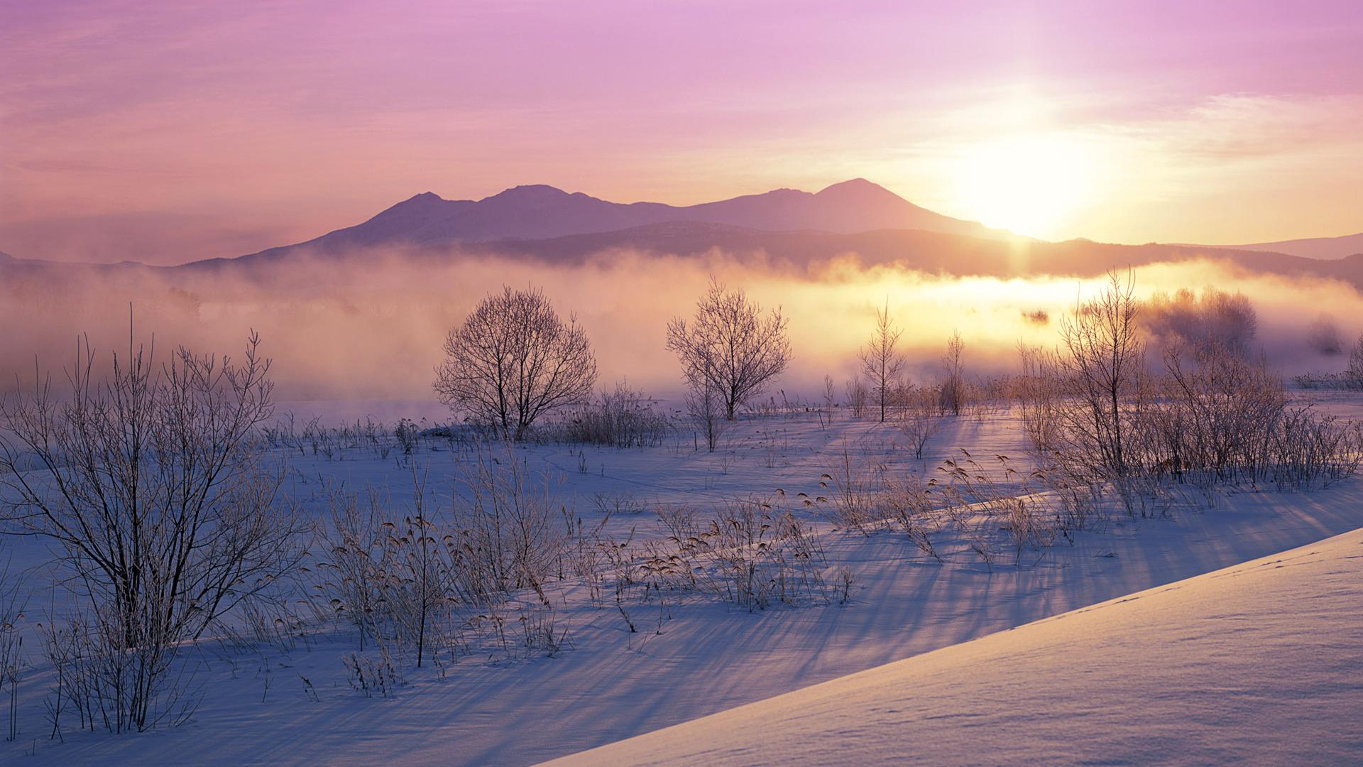 wonderful_misty_winter_japanese_morning