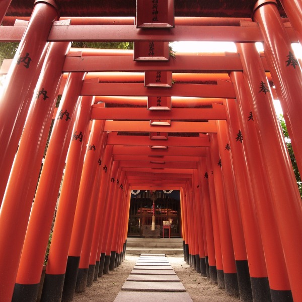 Cổng Torii đến đền HD tải xuống hình nền