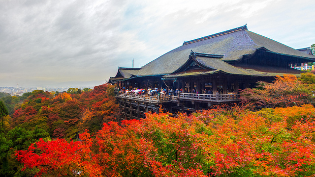 CHÙA THANH THỦY – ĐIỂM ĐẾN KHÔNG THỂ BỎ QUA TẠI KYOTO | Khám phá Nhật Bản |  Samurai Tour