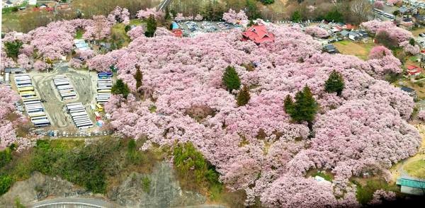 This is the view of the park from Katako Castle