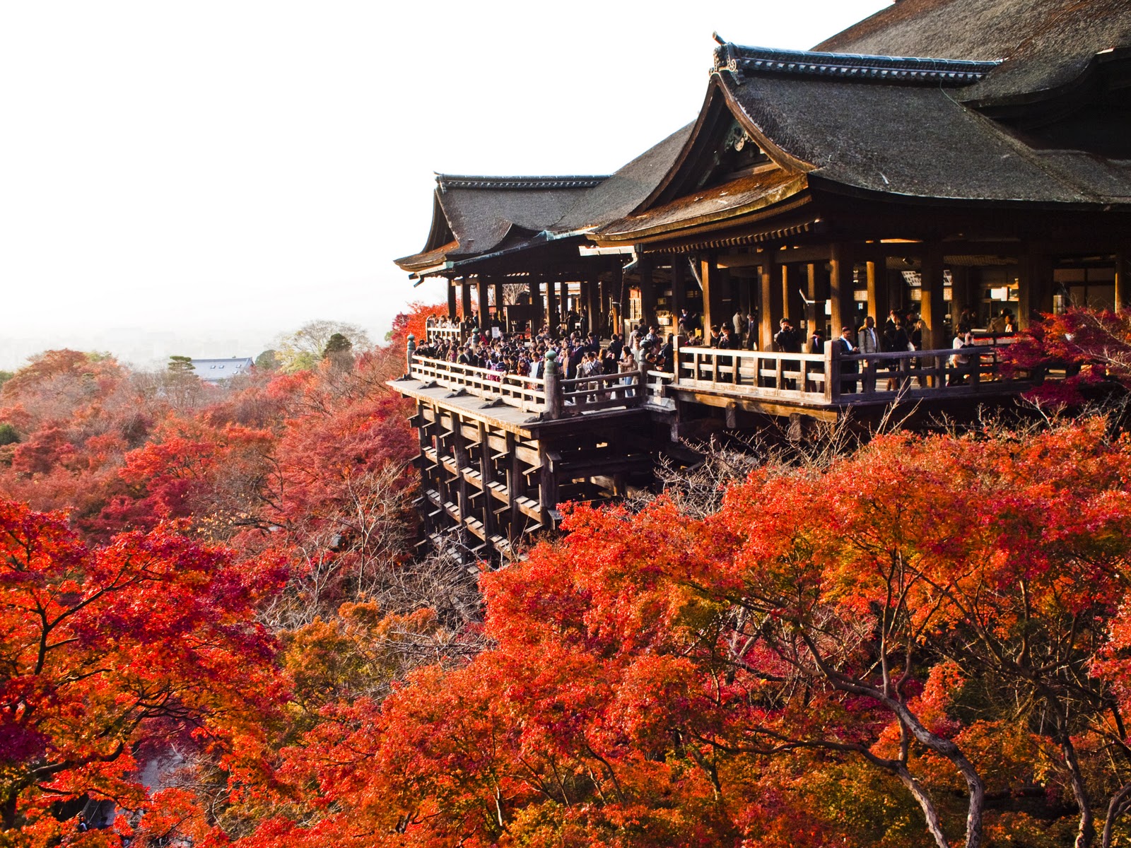 Kiyomizu dera – Chùa Thanh Thủy (Kyoto) | Khám phá Nhật Bản | Samurai Tour