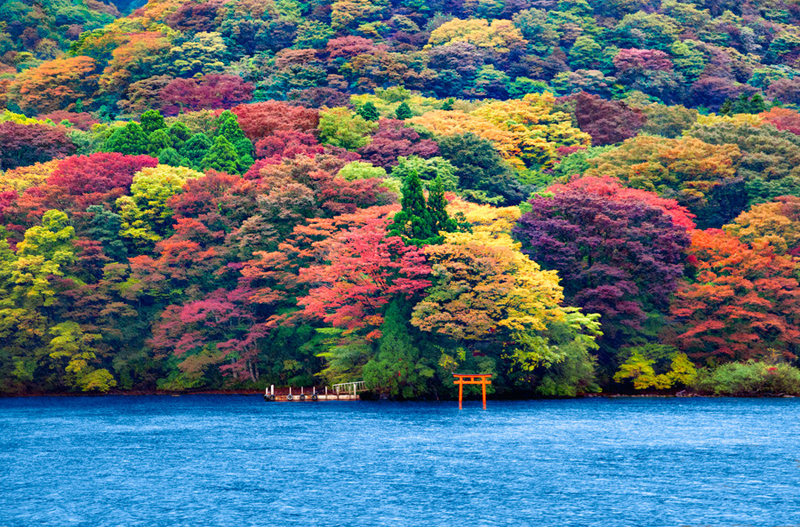 Ashi Lake 芦ノ湖 09