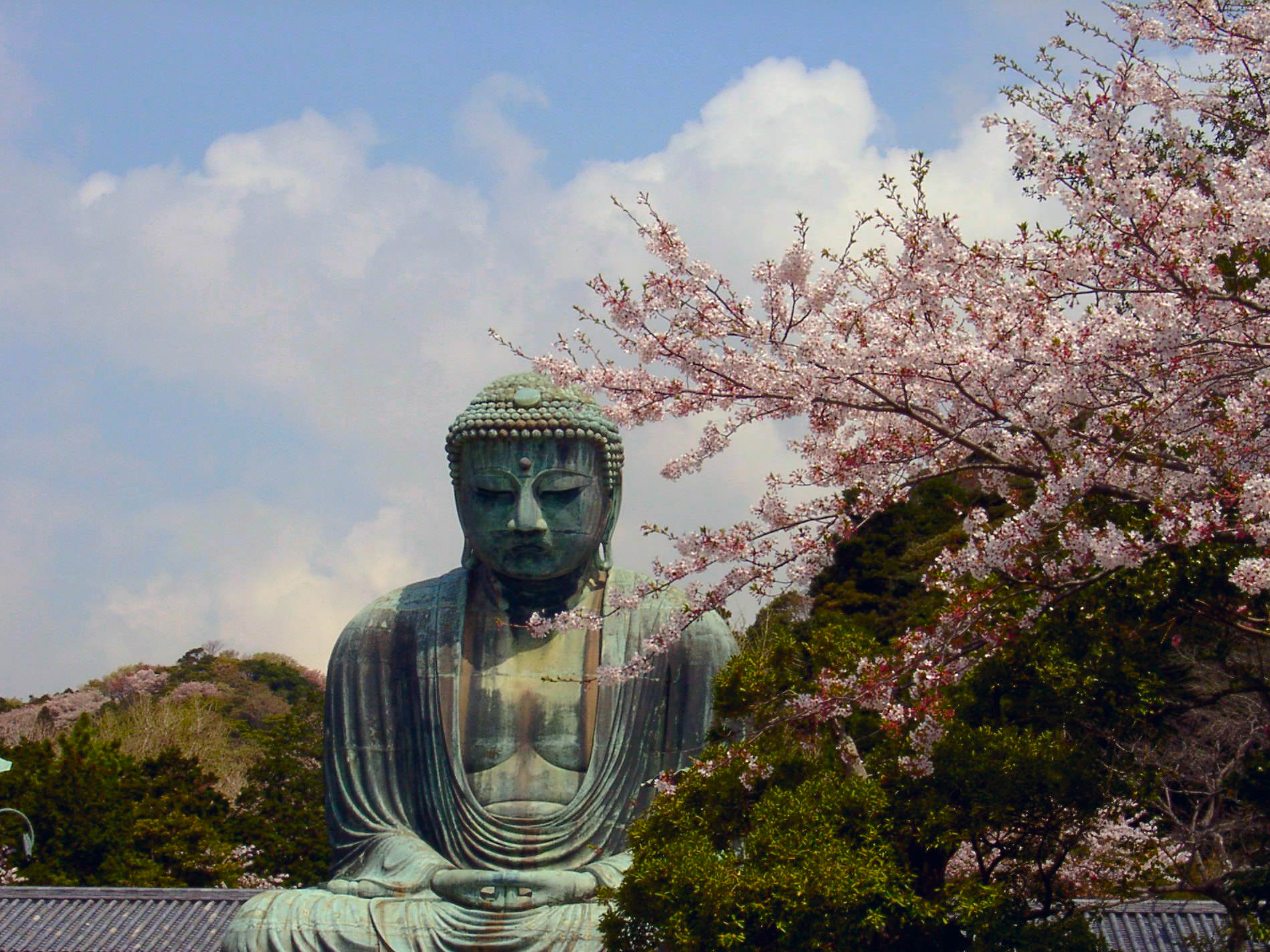 Kamakura daibutsu 07
