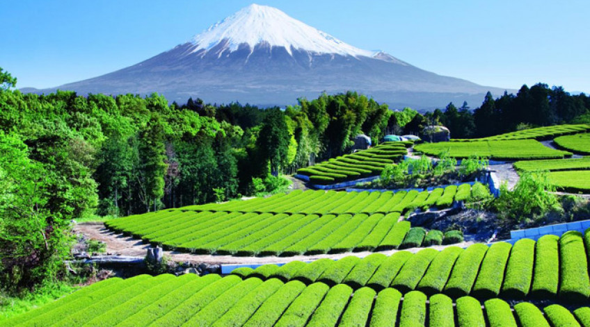 Album Những hình ảnh tuyệt đẹp về núi Phú Sĩ và mùa thu ở Nhật Bản ...