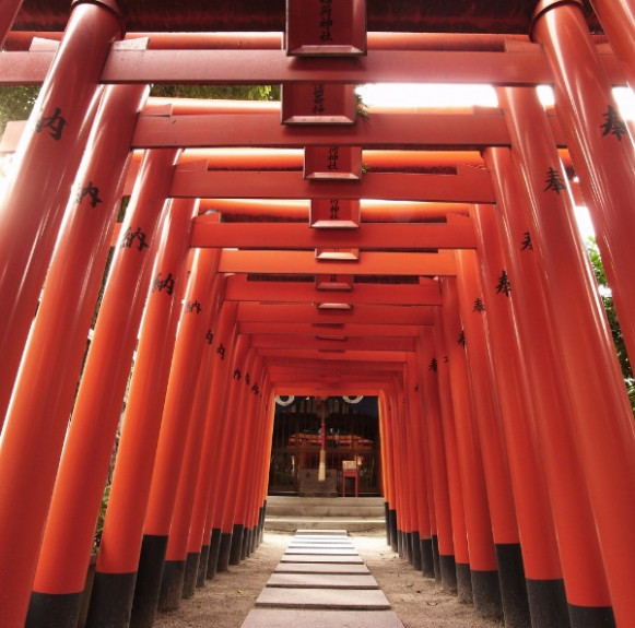 Cổng trời Torii