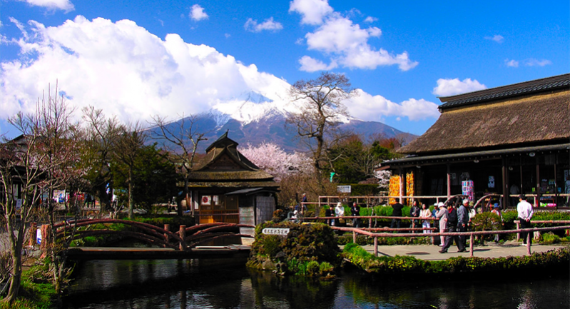 Nhật ký đến với làng cổ Oshino Hakkai | Khám phá Nhật Bản | Samurai Tour