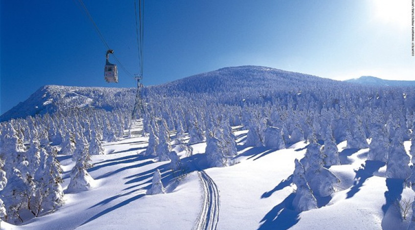 Với 15 sườn dốc và 12 đường trượt, Zao là một trong những khu du lịch nổi tiếng nhất Nhật Bản. Du khách tới đây không phải chỉ trượt tuyết mà còn chiêm ngưỡng những cây thông phủ tuyết trắng xóa.