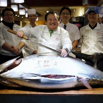 Chủ cửa hàng Sushi gây sốc khi chi hơn 2 tỉ đồng để mua con cá ngừ