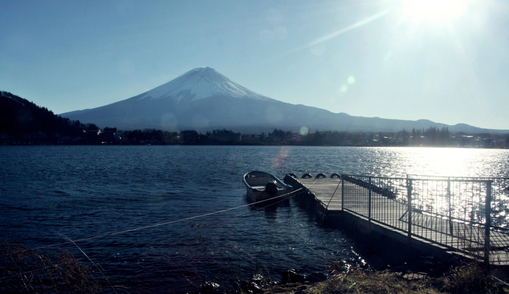 1556102e6339febbcdeed28e0c402c8d 09