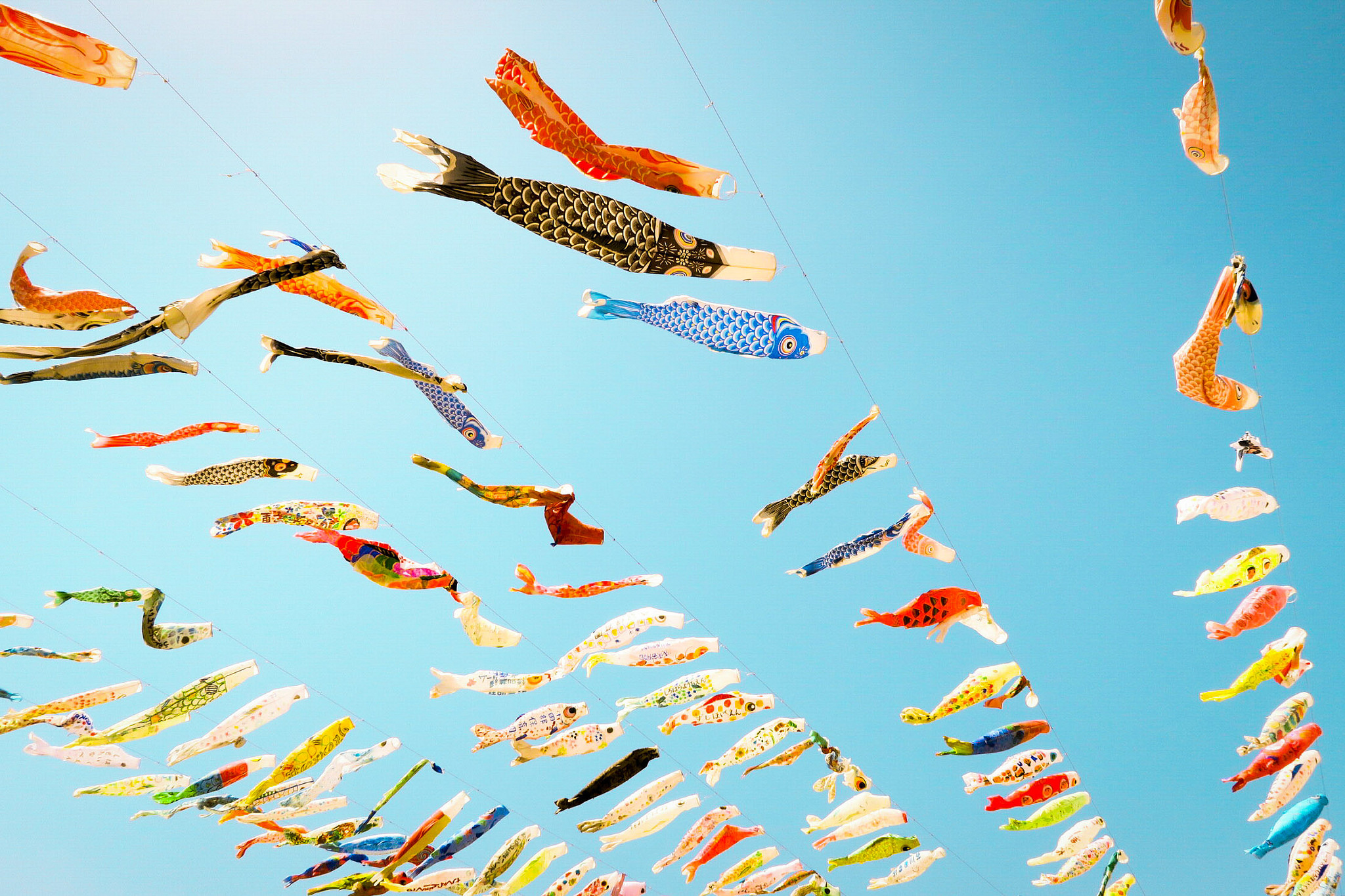 2b21c83ee0c1584582f97f0d1ceb5e35