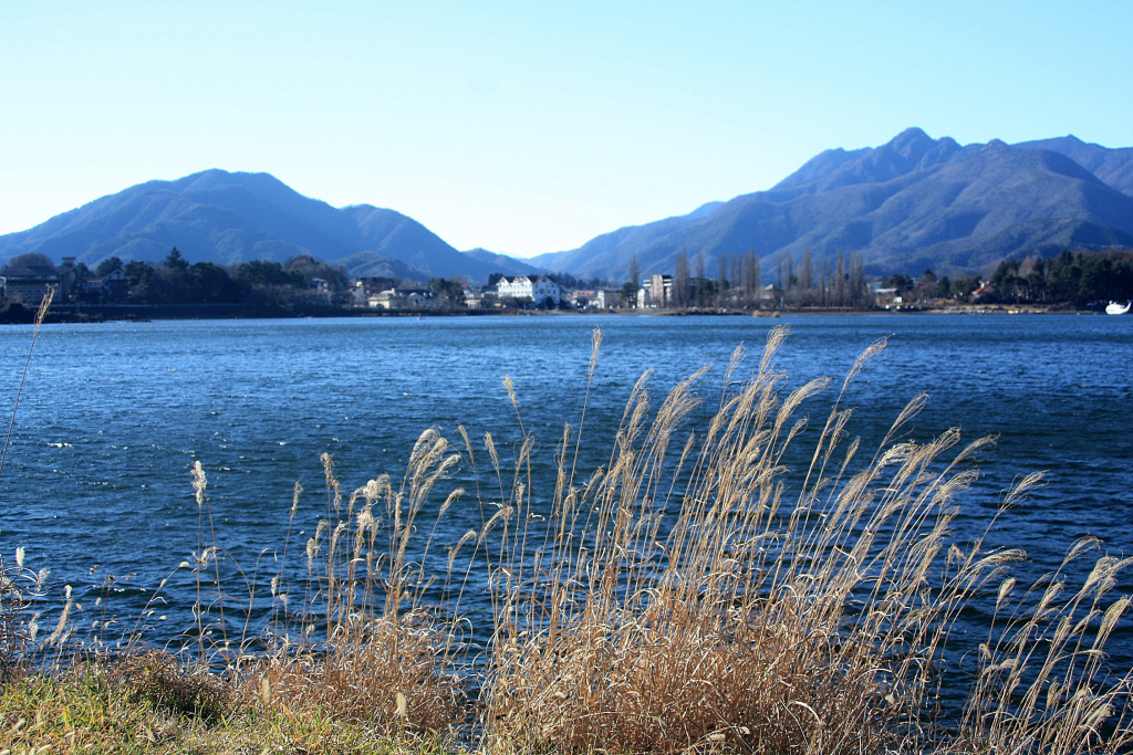 322d93d3dbc21e66075f69c28af49669 05