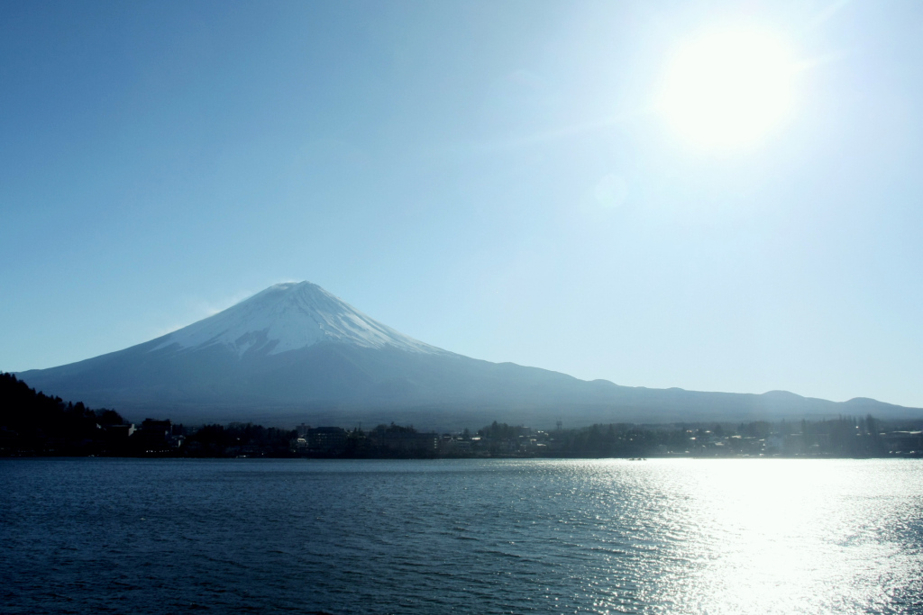 4110aa8759836850a3441923058a6e91 10