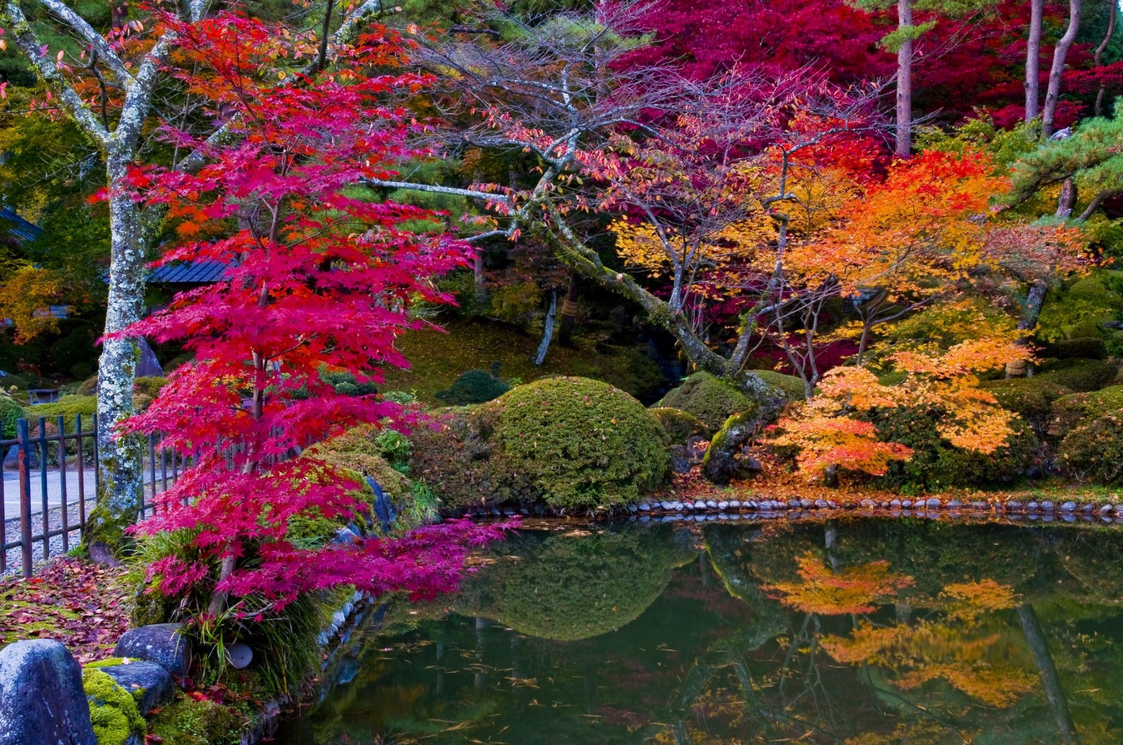 438c24107d2310392b7c770bc6d6f984 autumn-day-in-the-japanese-resort-nikko-1600x1062