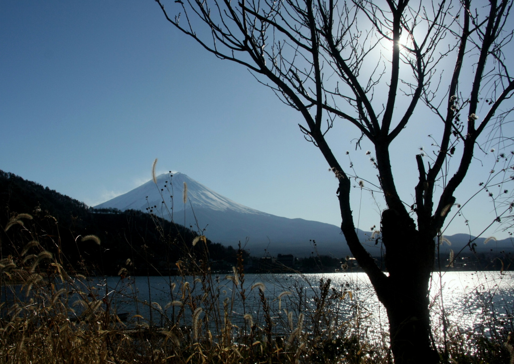 4ac30f9373a7971f708692f65e7998f0 08