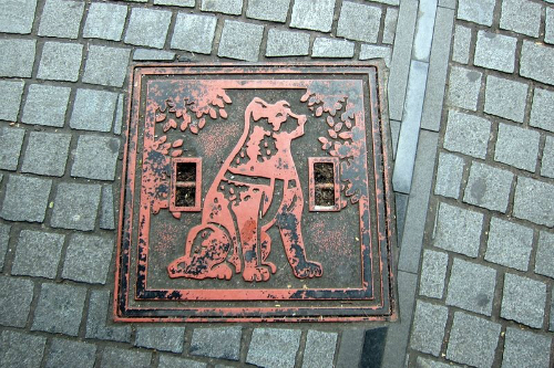 545912f03aa3f464e9cadde6eb8e8952 Hachiko