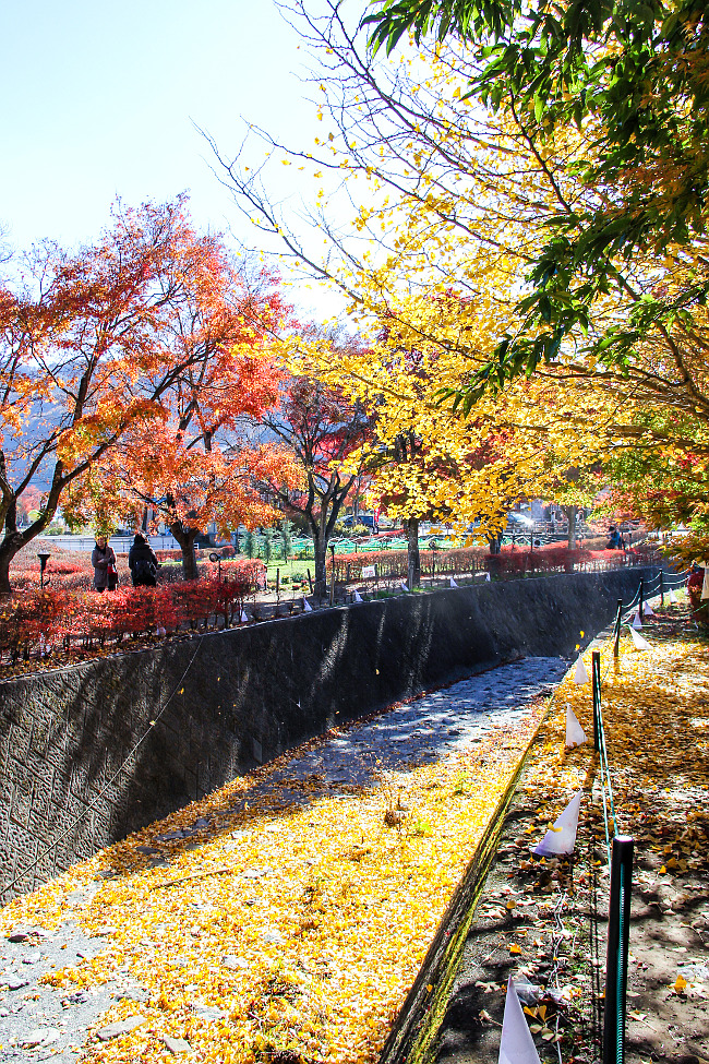 5d04c5972e2c3c68ca70a8deac72808c 15