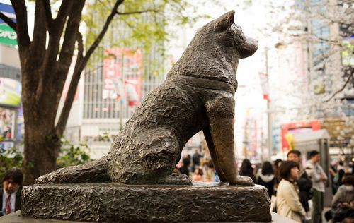 69df4ef5d52b608db70f5bfeae94175d Hachiko