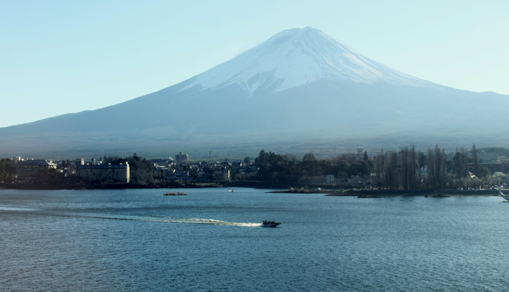 81b11ffc6c1e8c64b484998f336d7495 12