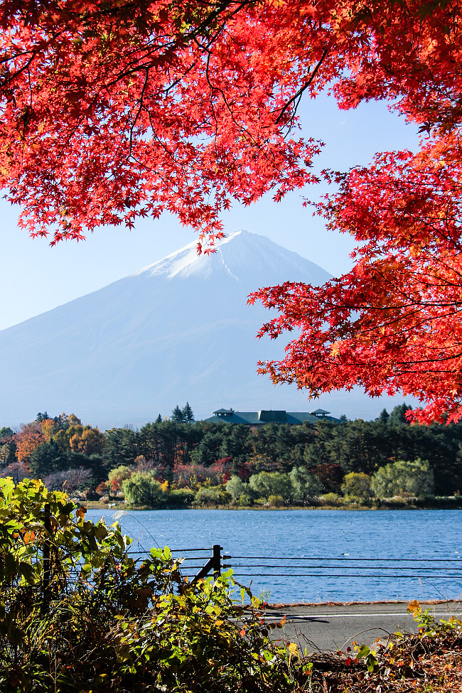 8718456231616794541f1c9be5eec0f3 16