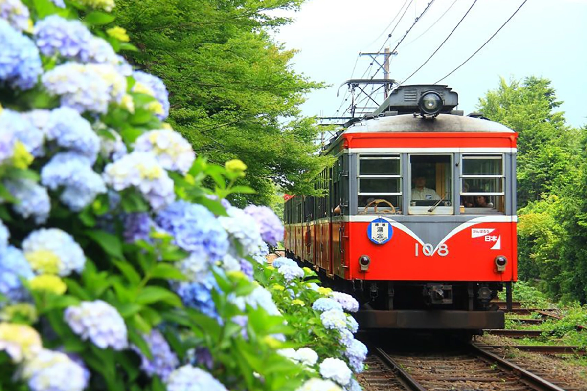 Cảnh đẹp trên đường đi đến Bảo tàng Nghệ thuật Ngoài trời Hakone bằng tàu