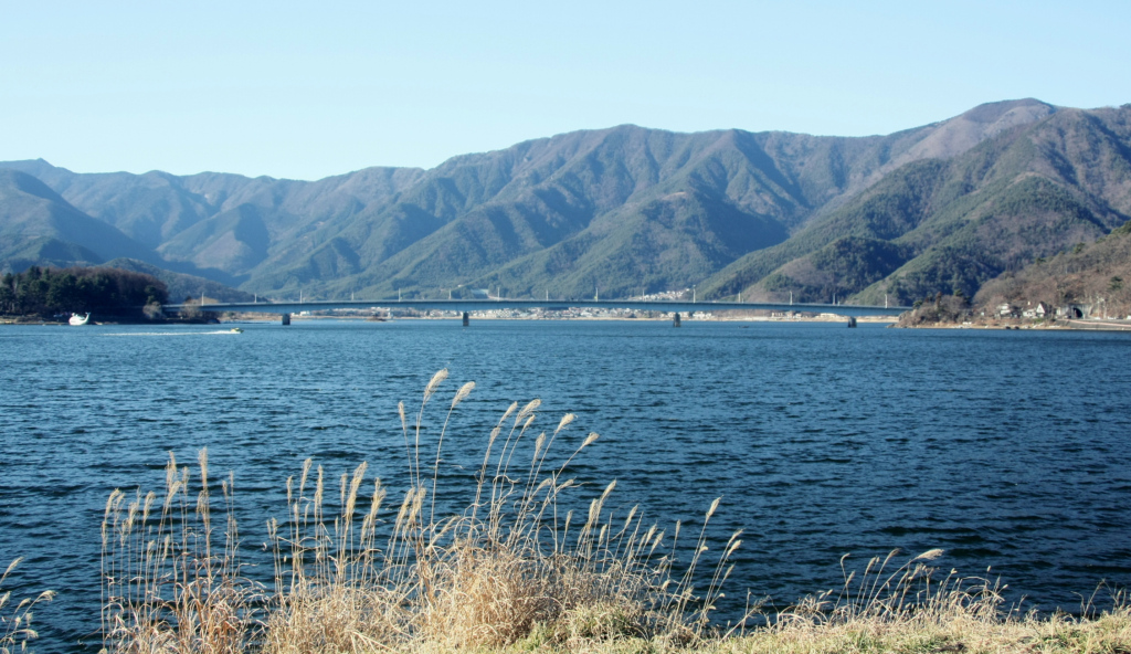 a1719a14a362c50ee70f489cc16a2c11 02