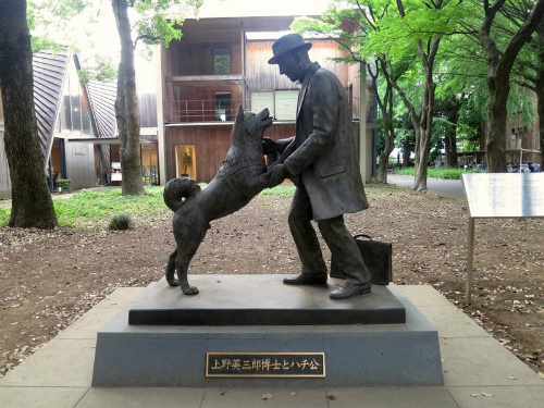 d9694a8ecf55400600808af425fd890e Hachiko