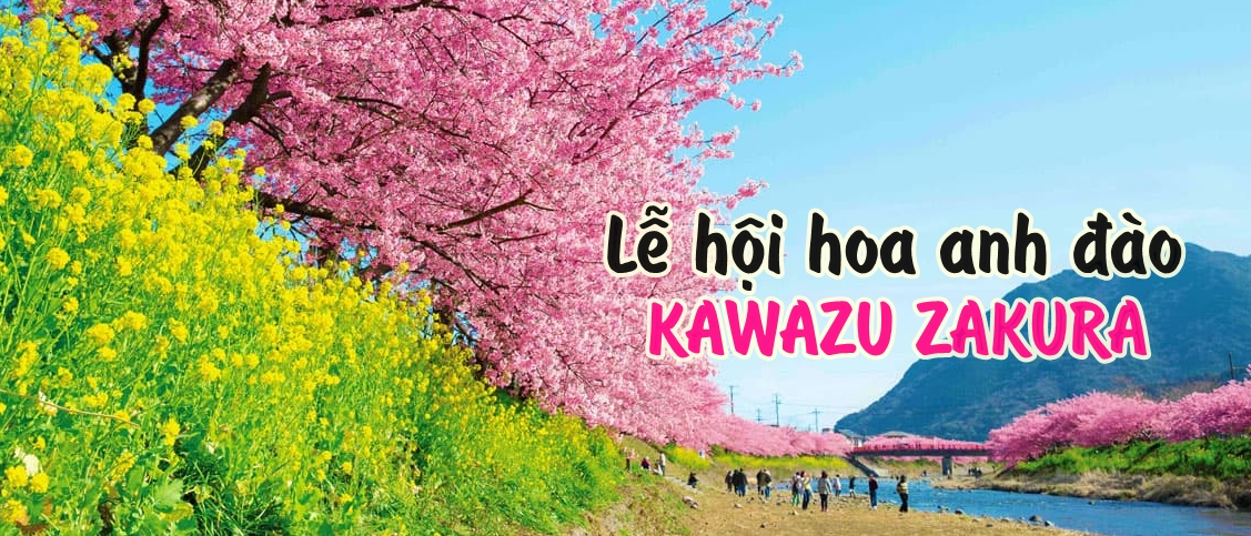 Kawazuzakura tại lễ hội hoa anh đào Kawazu