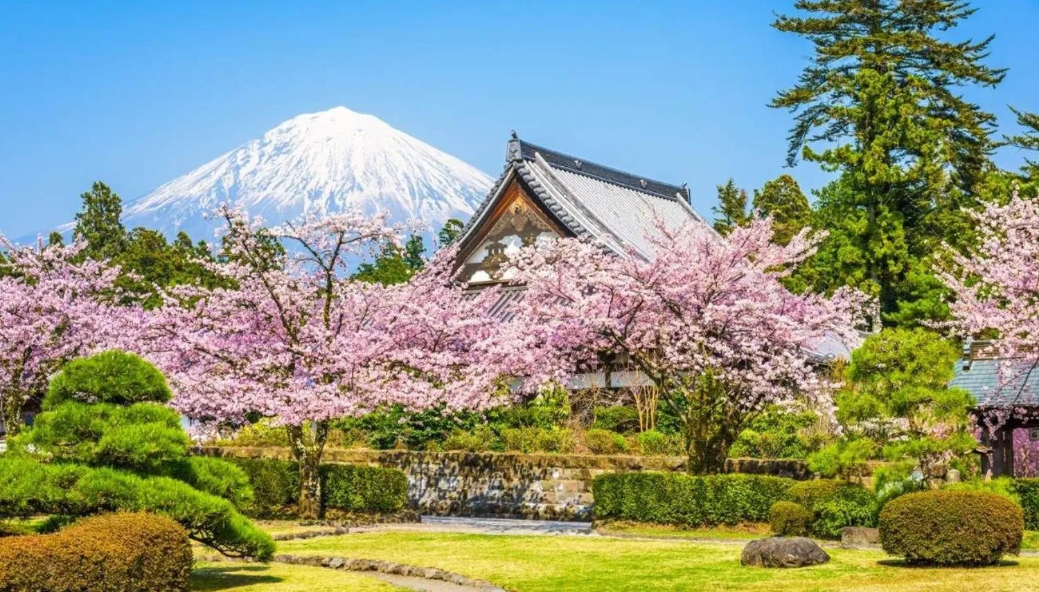 Tour du lịch Nhật Bản