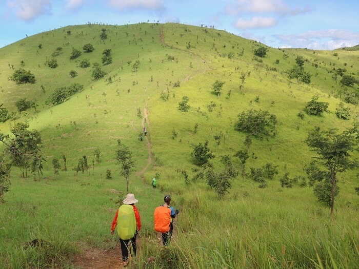 Thảo nguyên xanh rì đẹp mắt