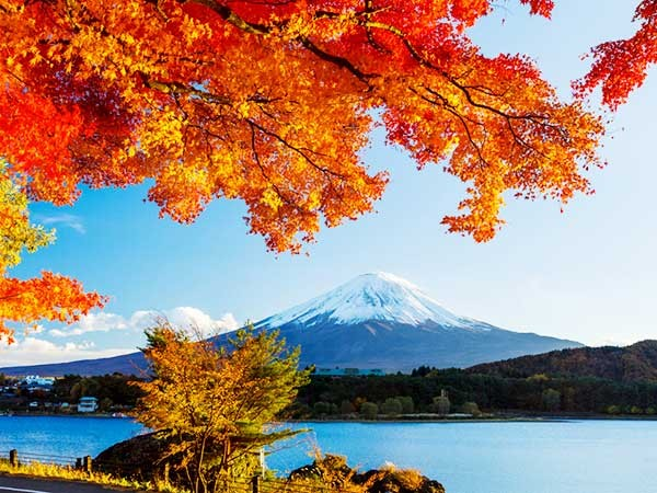 Từ Kyushu đến Sapporo: Hành trình khám phá vẻ đẹp bốn mùa Nhật Bản